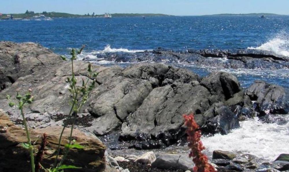 ocean point maine coast image with surf breaking against rocks